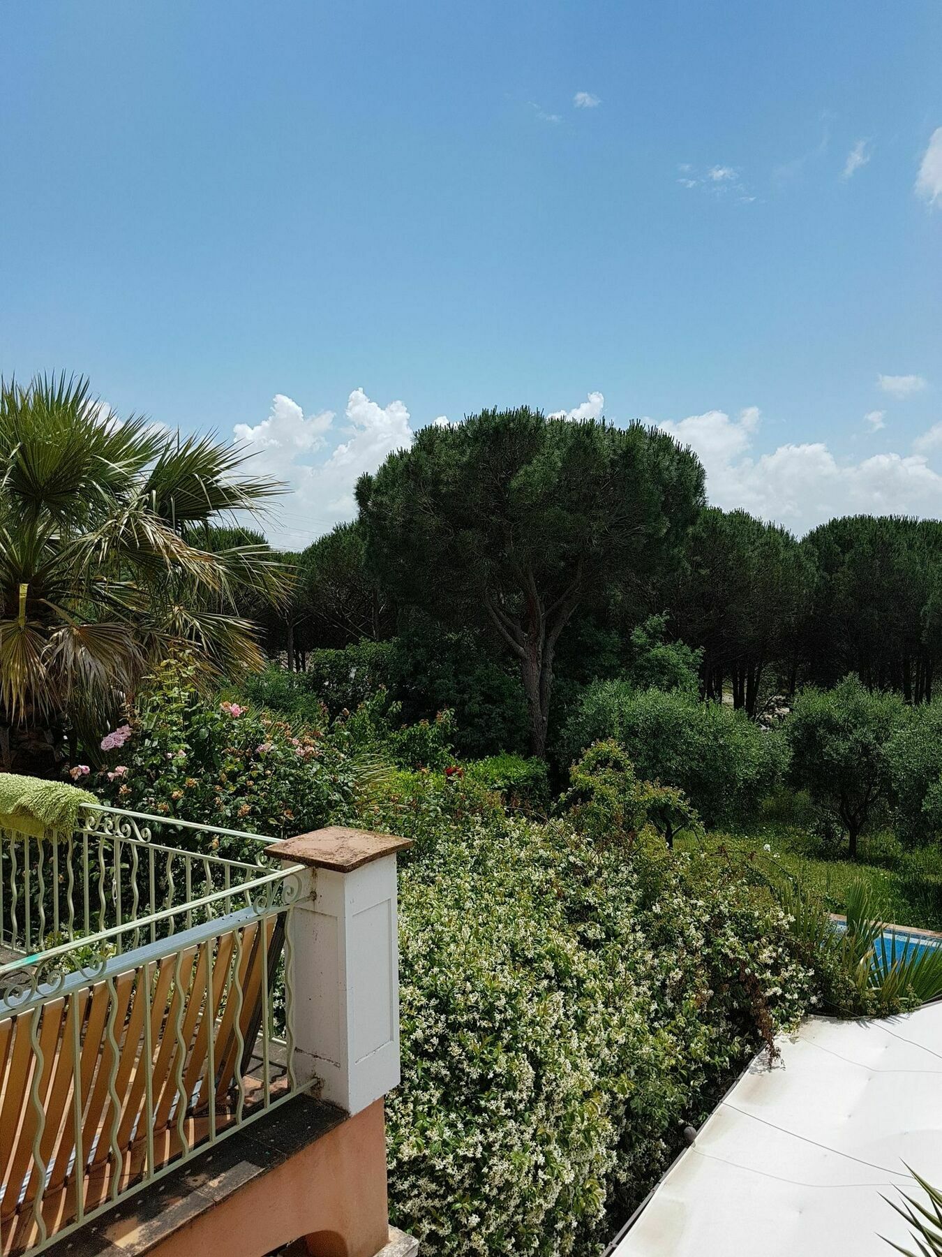 Chambres D'Hotes Villa Clauda Grimaud Zewnętrze zdjęcie